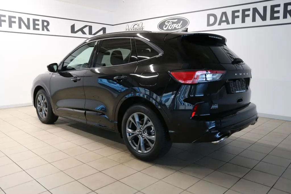  Kuga