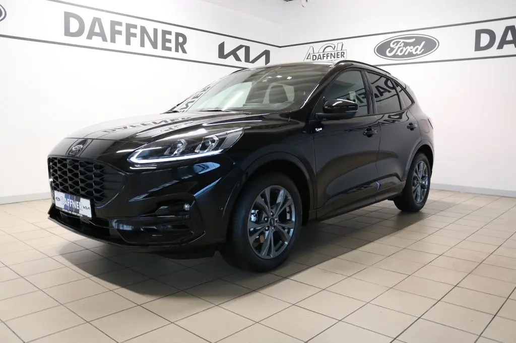  Kuga