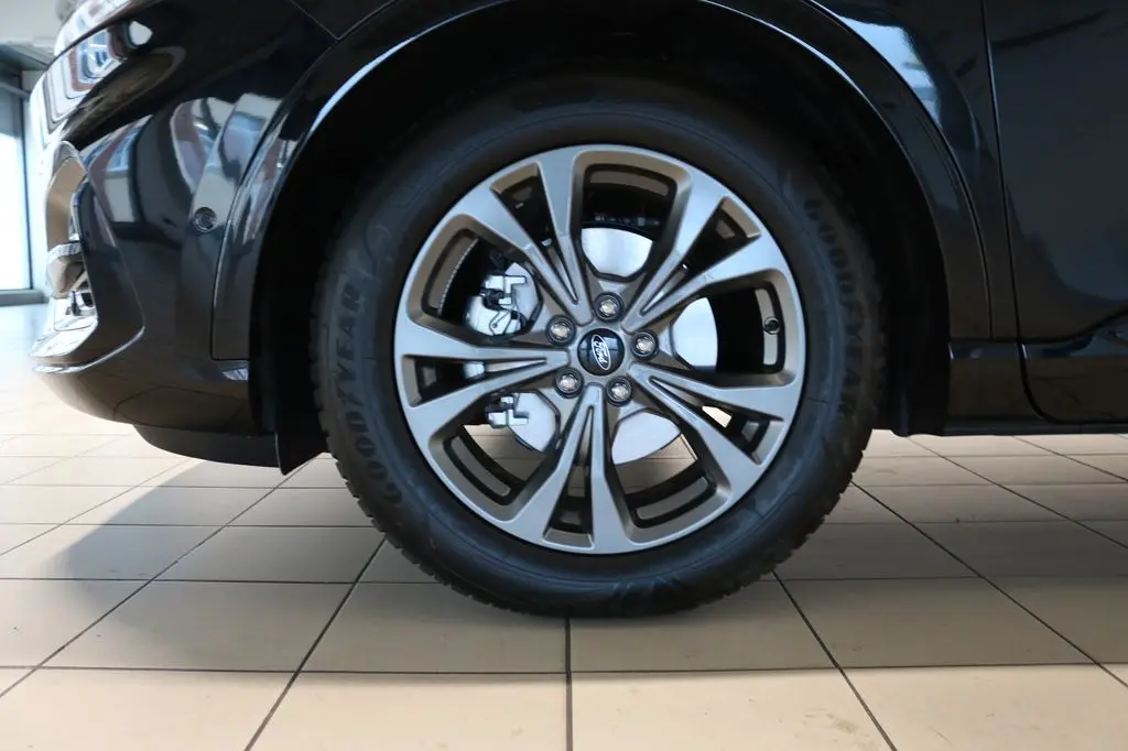  Kuga