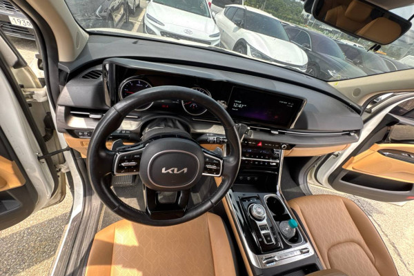 2022 Kia Carnival с пробегом 209 130 км