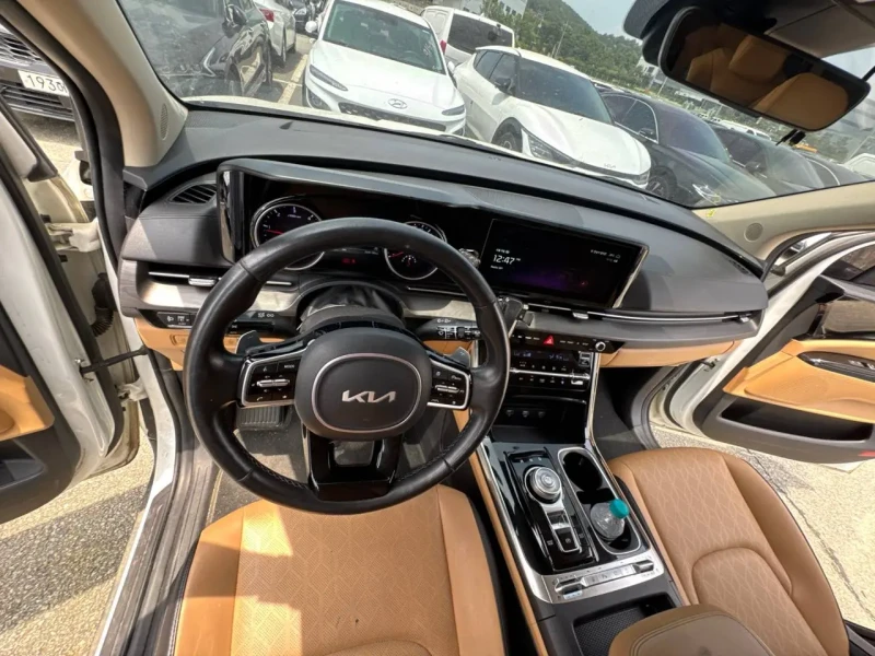 2022 Kia Carnival с пробегом 209 130 км