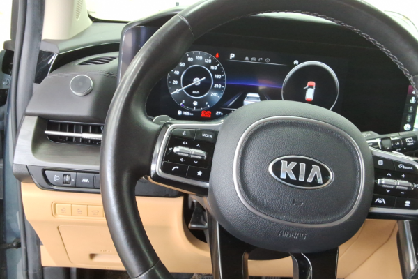 2020 Kia Carnival с пробегом 229 922 км