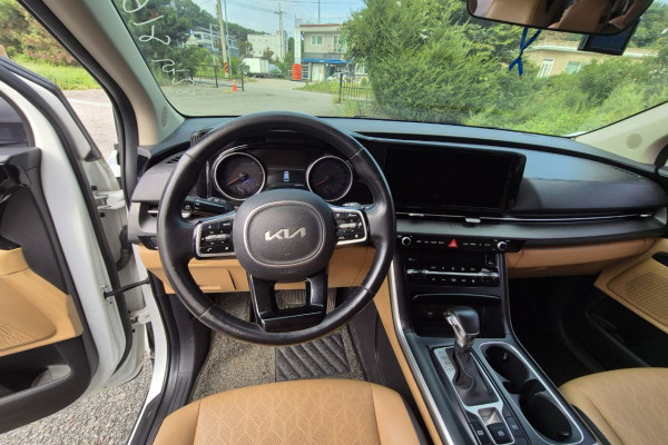 2021 Kia Carnival с пробегом 117 271 км