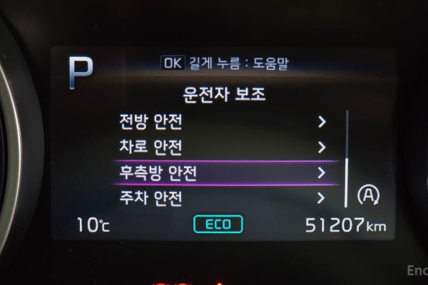 2021 Kia Carnival с пробегом 51 207 км