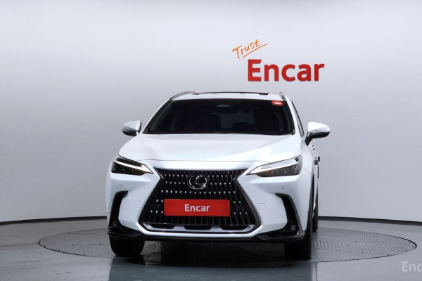2022 Lexus NX с пробегом 25 353 км