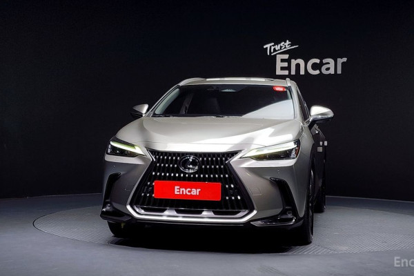 2023 Lexus NX с пробегом 62 369 км