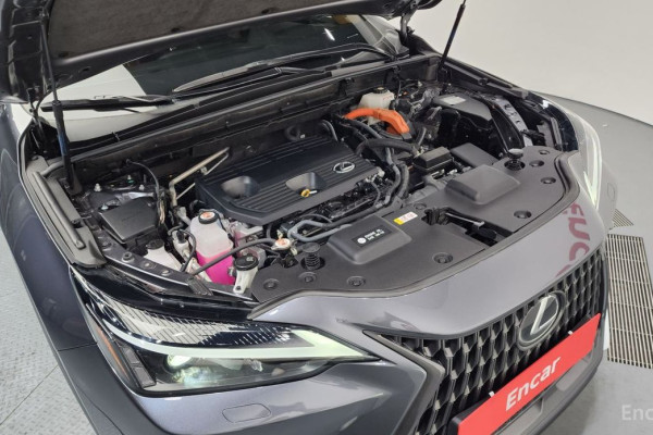 2023 Lexus NX с пробегом 41 194 км