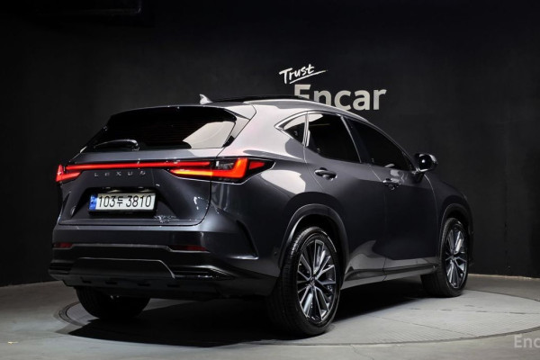 2023 Lexus NX с пробегом 37 018 км