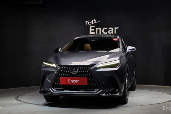 2023 Lexus NX с пробегом 37 018 км