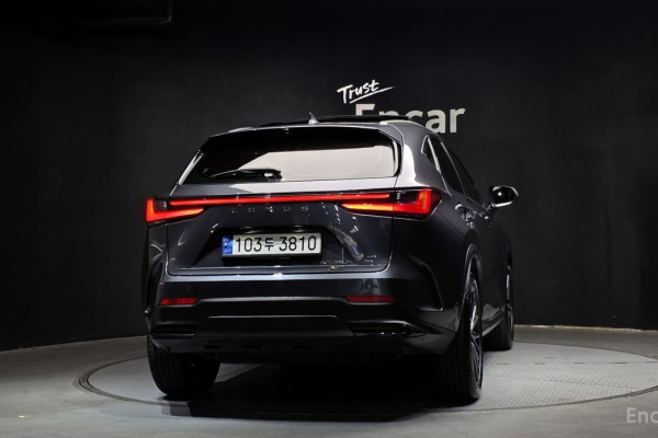 2023 Lexus NX с пробегом 37 018 км