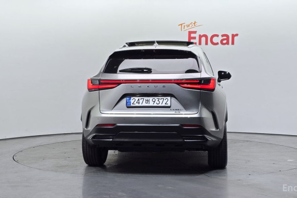 2023 Lexus NX с пробегом 20 202 км