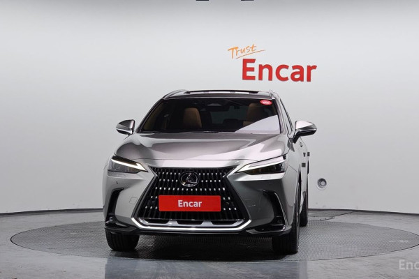2023 Lexus NX с пробегом 28 616 км
