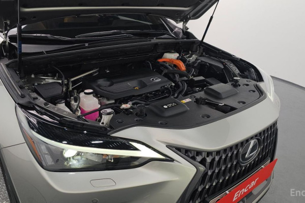 2023 Lexus NX с пробегом 28 616 км