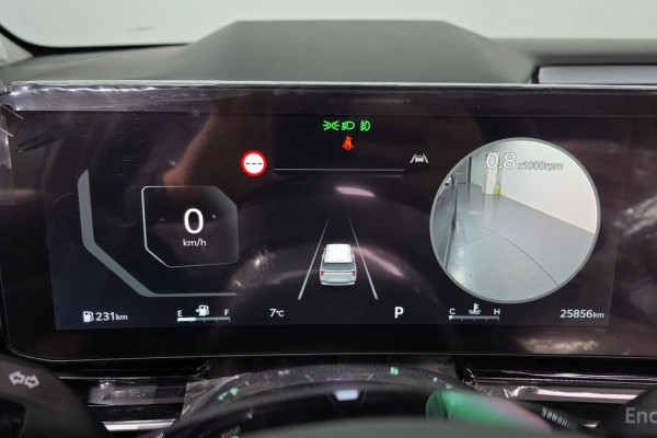 2024 Kia Carnival с пробегом 25 856 км