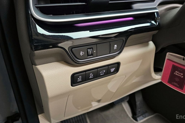 2024 Kia Carnival с пробегом 3 855 км