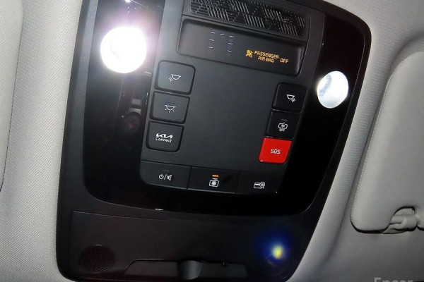 2024 Kia Carnival с пробегом 29 955 км