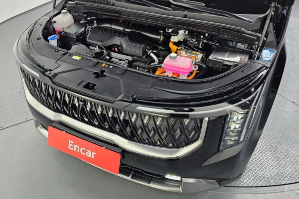 2025 Kia Carnival с пробегом 30 532 км