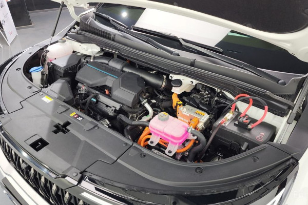 2024 Kia Carnival с пробегом 16 026 км