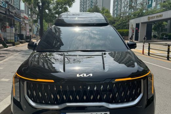 2024 Kia Carnival с пробегом 19 980 км