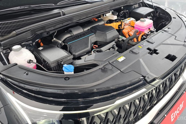 2024 Kia Carnival с пробегом 29 863 км