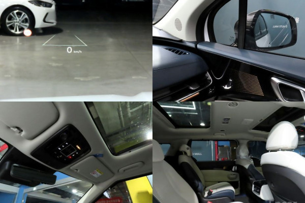 2025 Kia Carnival с пробегом 19 200 км