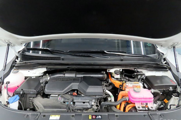 2025 Kia Carnival с пробегом 19 200 км