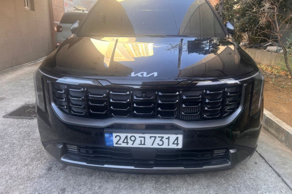 2024 Kia Carnival с пробегом 39 000 км