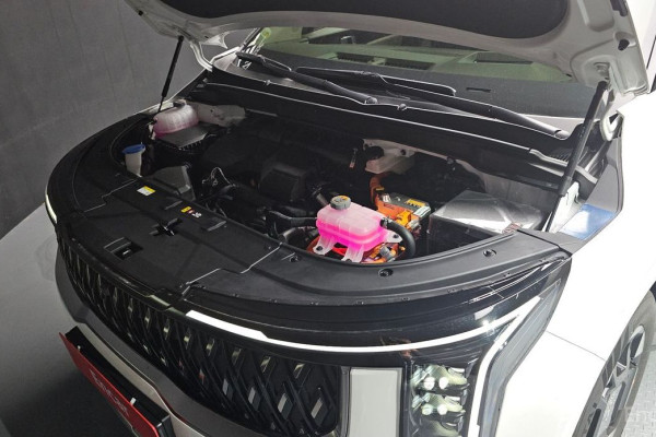 2025 Kia Carnival с пробегом 20 км