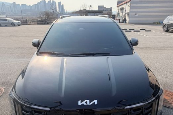 2025 Kia Carnival с пробегом 11 500 км