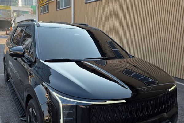 2025 Kia Carnival с пробегом 2 979 км