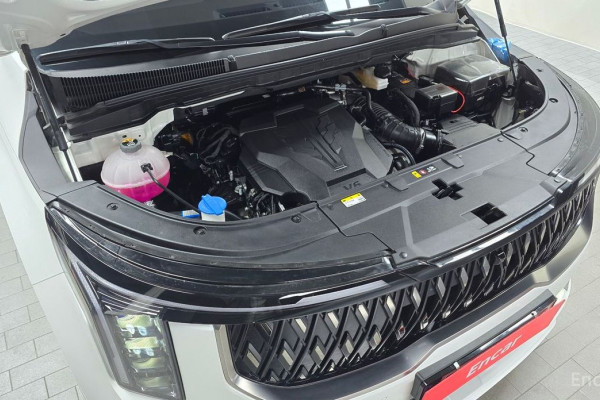 2024 Kia Carnival с пробегом 20 442 км