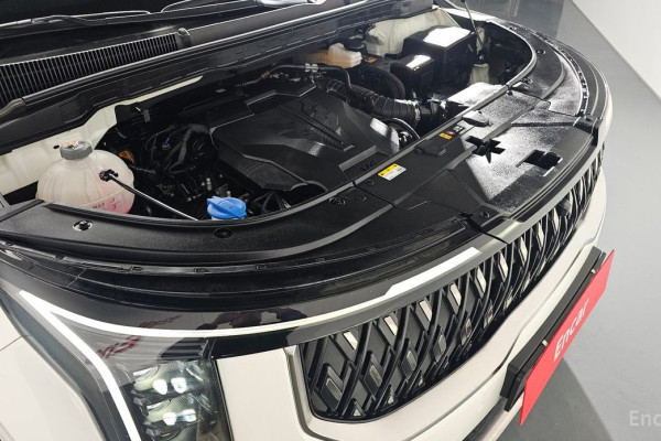 2024 Kia Carnival с пробегом 16 955 км