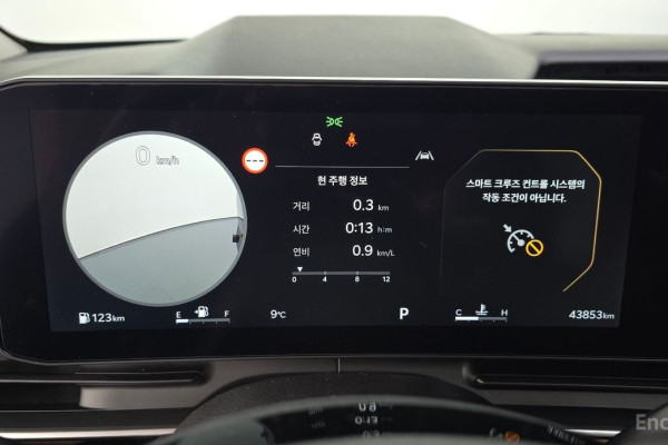 2024 Kia Carnival с пробегом 43 853 км