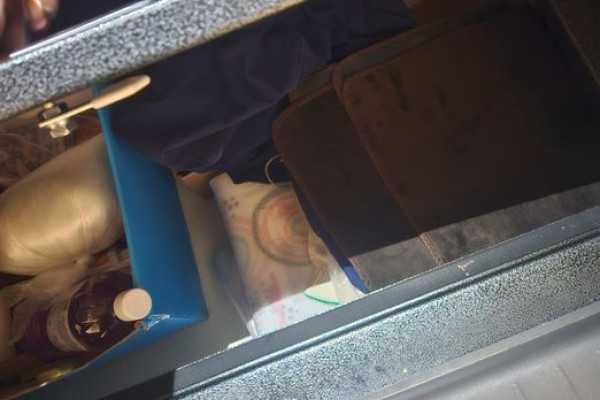 2024 Kia Carnival с пробегом 8 700 км