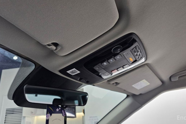 2024 Kia Carnival с пробегом 38 608 км