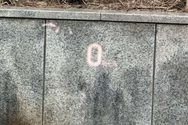 2025 Cadillac Escalade с пробегом 2 400 км