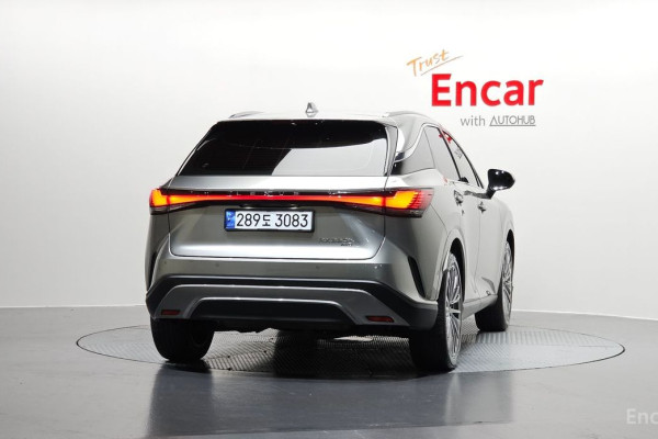 2023 Lexus RX с пробегом 28 974 км