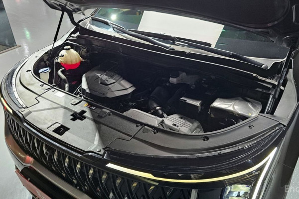 2024 Kia Carnival с пробегом 64 933 км