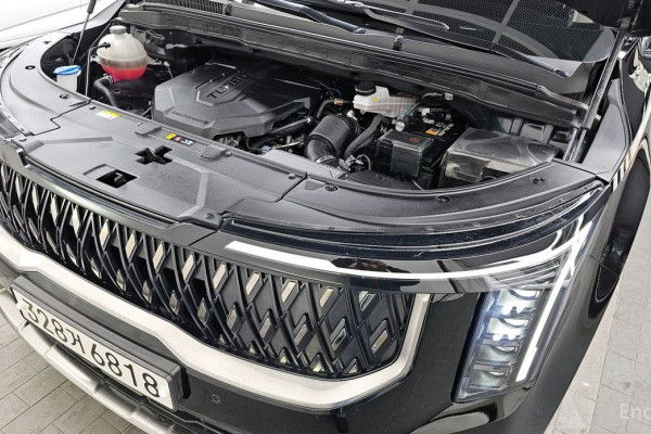 2024 Kia Carnival с пробегом 66 973 км