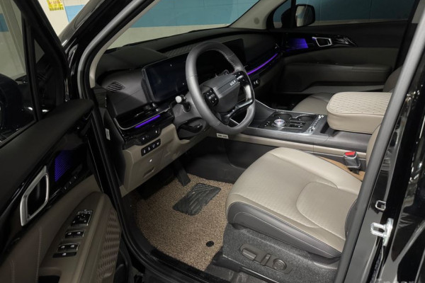 2025 Kia Carnival с пробегом 17 100 км