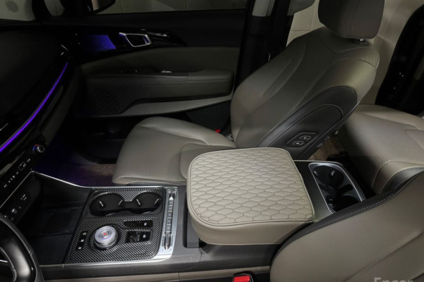 2025 Kia Carnival с пробегом 17 100 км