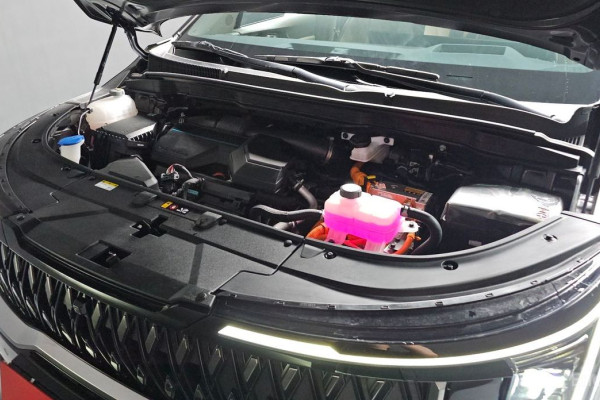 2024 Kia Carnival с пробегом 29 237 км