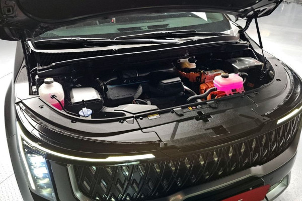 2024 Kia Carnival с пробегом 28 110 км