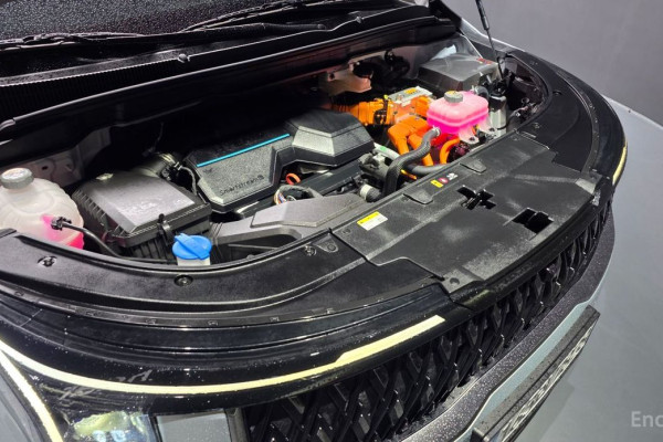 2024 Kia Carnival с пробегом 24 275 км