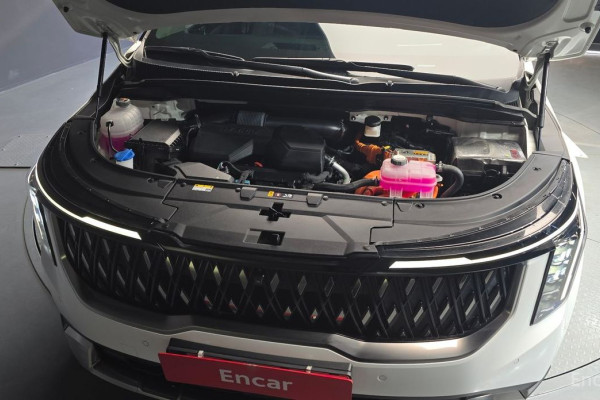 2024 Kia Carnival с пробегом 19 506 км