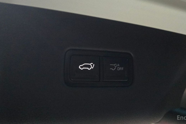 2024 Kia Carnival с пробегом 19 506 км