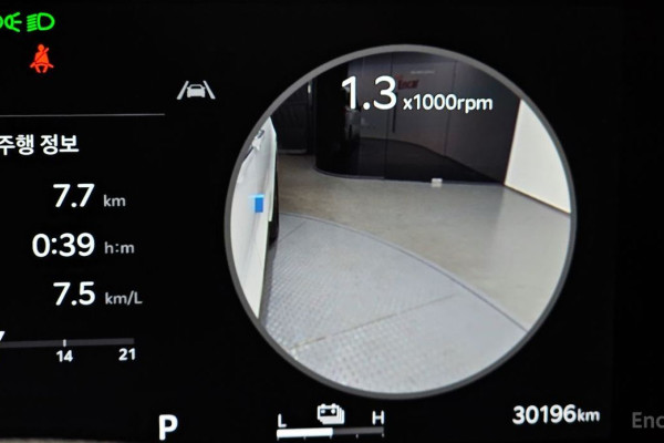 2024 Kia Carnival с пробегом 30 196 км