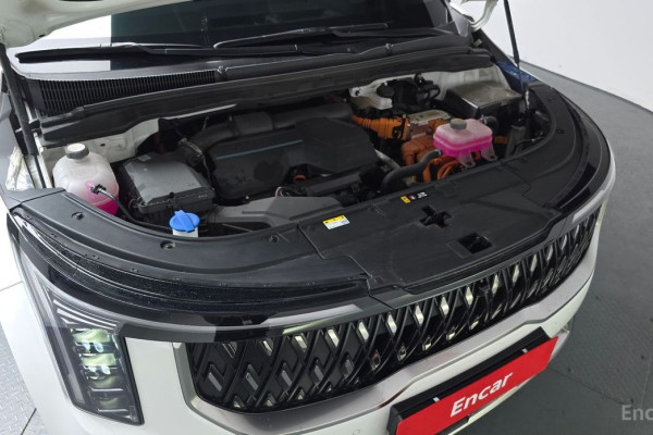 2024 Kia Carnival с пробегом 34 864 км