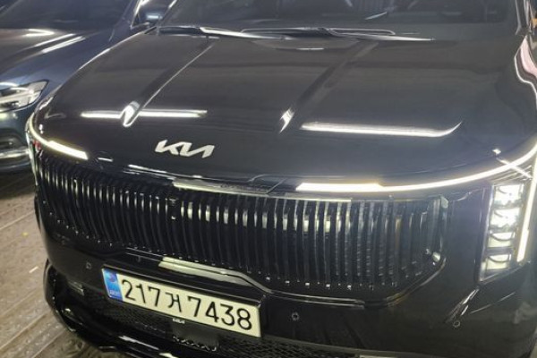 2025 Kia Carnival с пробегом 20 100 км