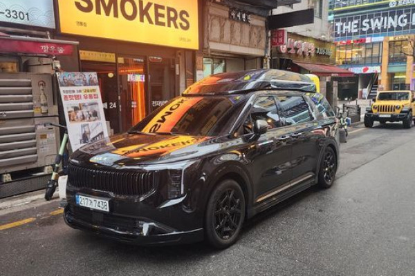 2025 Kia Carnival с пробегом 20 100 км